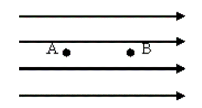 à¸£à¸¹à¸›à¸ à¸²à¸ž1