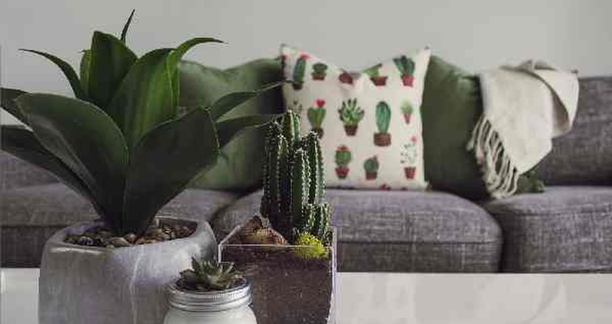 What Does Your Home Decor Say About You? Take the Quiz QuizMaker