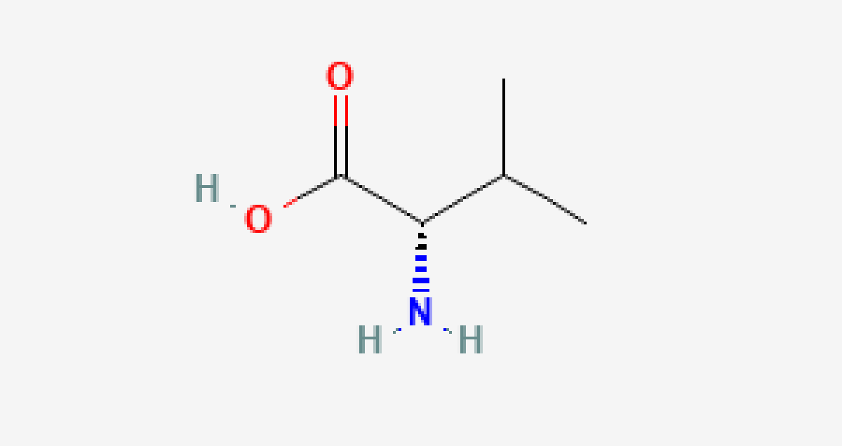 Amino Acids (Structure Names) Take the Quiz QuizMaker