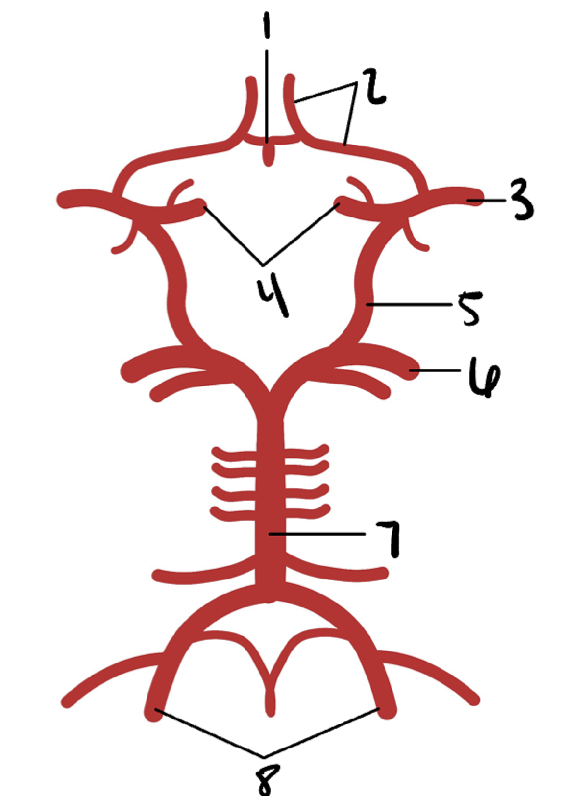 Practice Neuro Quiz 5 | Take the Quiz | QuizMaker